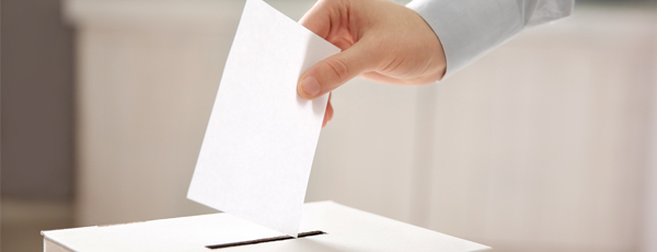 29 Mart 2009 Yerel Seçim