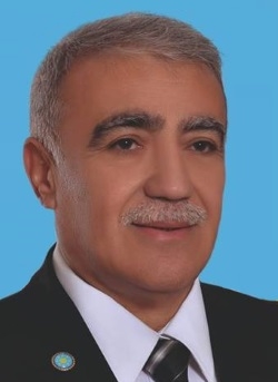 Mehmet Piran Aslın