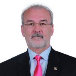 Mustafa Hulki Cevizoğlu