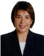 Ayşe Nur Bahçekapılı