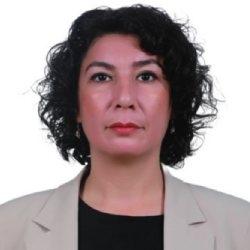 Halide Türkoğlu