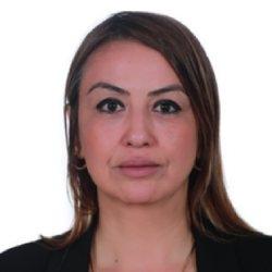 Nermin Yıldırım Kara